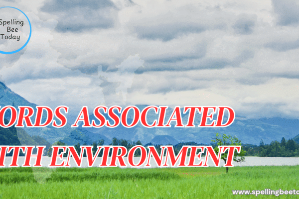 words associated with environment