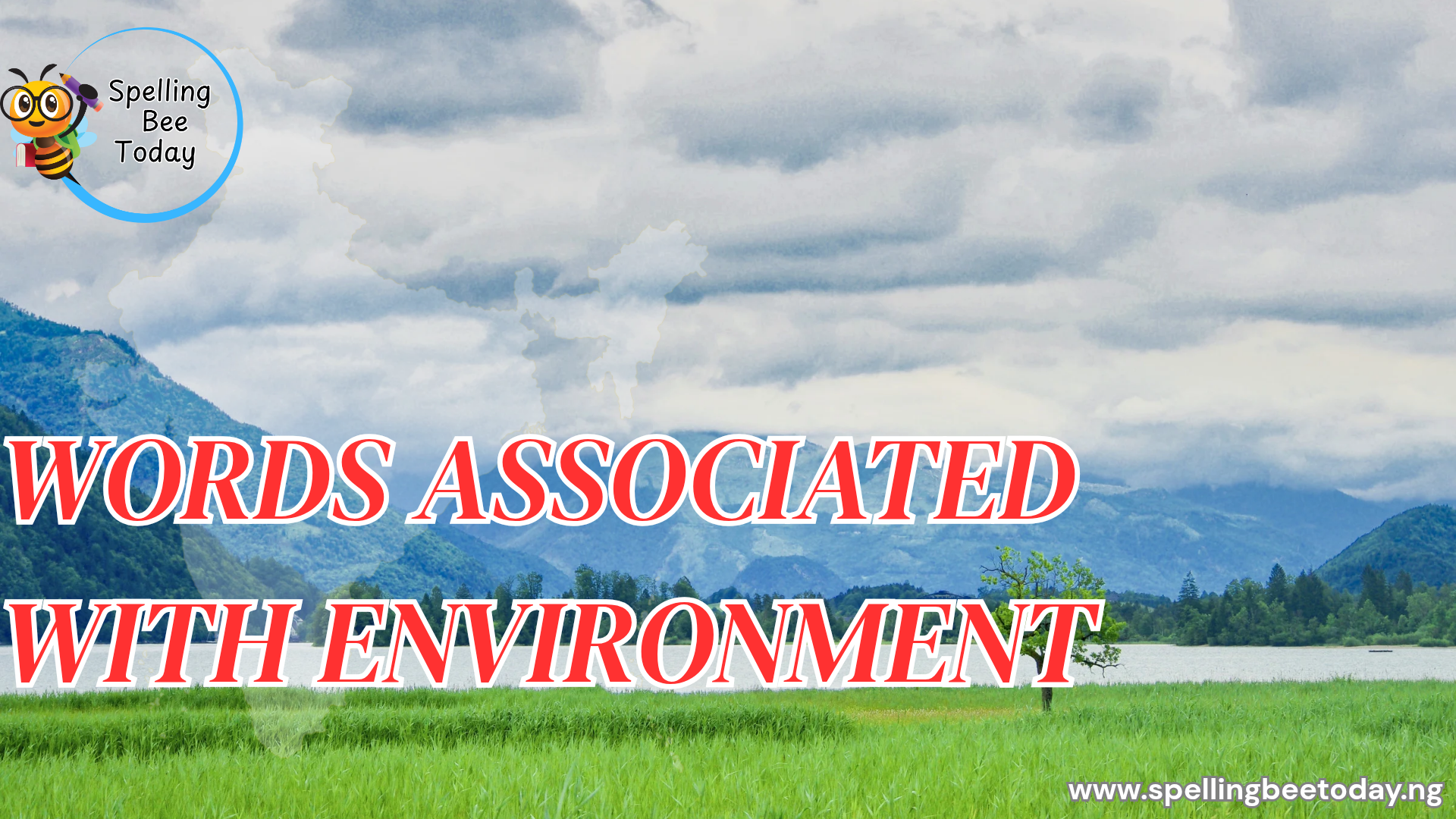 words associated with environment