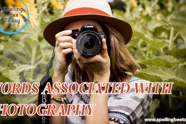 16 Words associated with photography and their Meaning words associated with photography