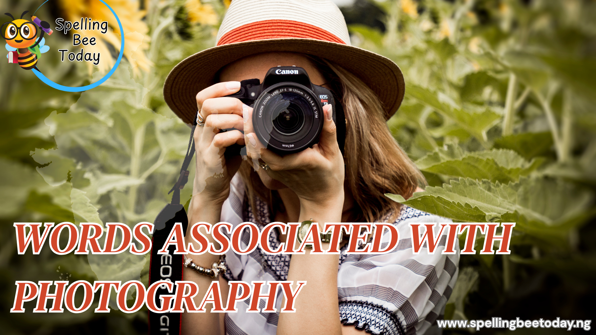 words associated with photography